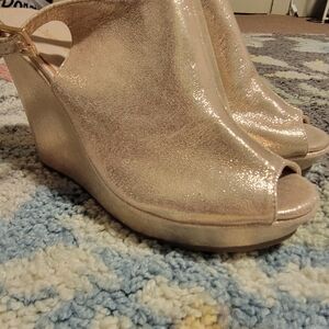 Champaign Gold Peep toe, wedge heels